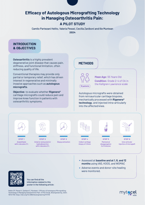 Cover of the plain-English summary of Helito 2024, twelve-month pilot study